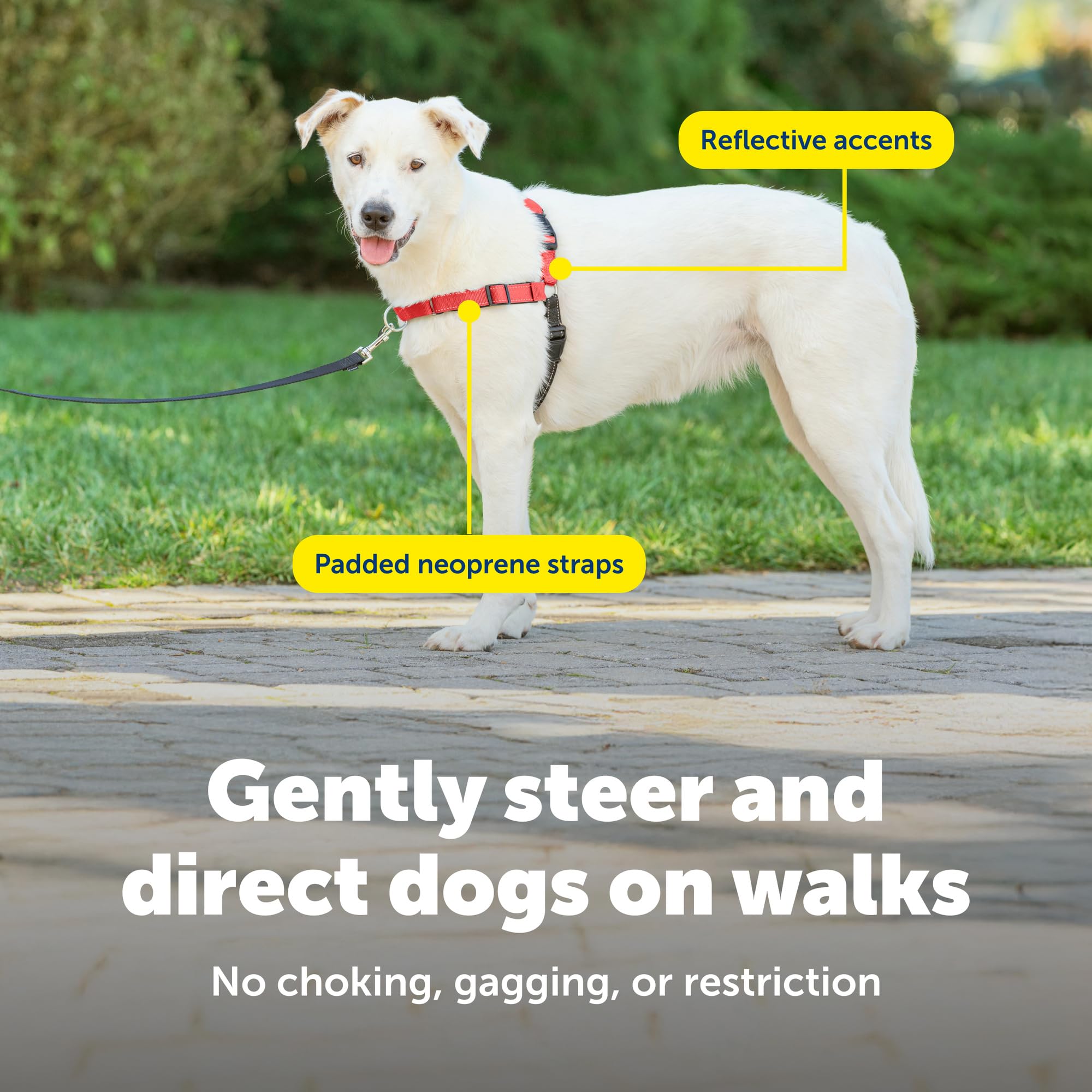 PetSafe（ペットセーフ） 犬用 引っ張り防止ハーネス デラックスイージーウォークハーネス アップルグリーン×ブラック S Amazon | PetSafe（ペットセーフ） デラックス イージーウォーク